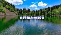 《蒼蠅與螞蟻》