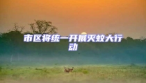 市區將統一開展滅蚊大行動