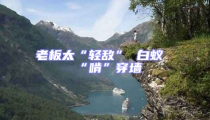 老板太“輕敵” 白蟻“啃”穿墻