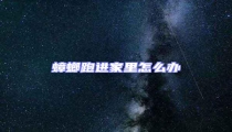 蟑螂跑進家里怎么辦