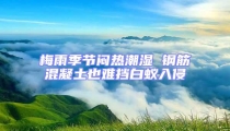 梅雨季節悶熱潮濕 鋼筋混凝土也難擋白蟻入侵