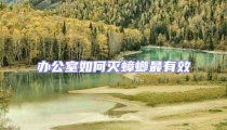辦公室如何滅蟑螂最有效