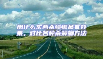 用什么東西殺蟑螂最有效果,對比各種殺蟑螂方法