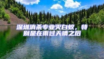 深圳消殺專業(yè)滅白蟻,特別是在雨過天晴之后