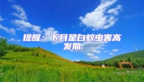 提醒:下月是白蟻蟲害高發(fā)期