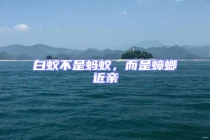 白蟻不是螞蟻，而是蟑螂近親