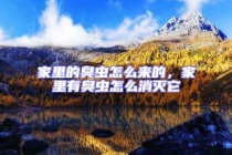 家里的臭蟲怎么來(lái)的，家里有臭蟲怎么消滅它