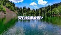滅白蟻哪家好?