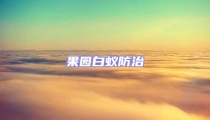 果園白蟻防治