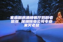 家庭廚房酒樓餐廳后廚老鼠多 深圳除蟲公司專業來滅老鼠