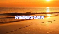 賓館蟑螂怎么消滅