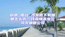 廚房 陽臺 沙發底下有蟑螂怎么辦?找深圳殺蟲公司滅蟑螂公司
