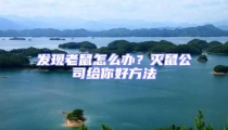 發現老鼠怎么辦?滅鼠公司給你好方法