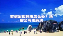 家里出現臭蟲怎么辦?殺蟲公司來解決