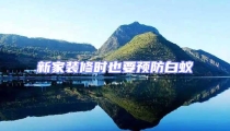 新家裝修時也要預(yù)防白蟻