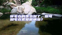 穿毛衣的季節到了，你可知毛衣更愛藏螨蟲？
