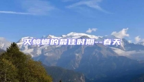 滅蟑螂的最佳時期--春天