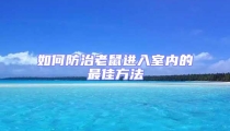 如何防治老鼠進入室內(nèi)的最佳方法