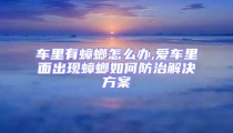 車?yán)镉畜朐趺崔k,愛(ài)車?yán)锩娉霈F(xiàn)蟑螂如何防治解決方案