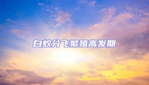 白蟻分飛繁殖高發期