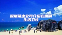 深圳殺蟲公司介紹衣蛾的生活習(xí)性