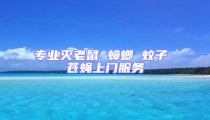 專業滅老鼠 蟑螂 蚊子 蒼蠅上門服務