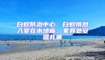 白蟻防治中心:白蟻悄然入室在木地板、家具處安營扎寨