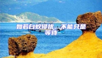 如若白蟻侵?jǐn)_,不能只是等待