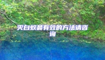 滅白蟻?zhàn)钣行У姆椒ㄕ堊稍? uk-img>
                                    </a>
                                </div>
                            </li>
                                                        <li id=