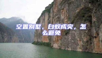 空置別墅,白蟻成災,怎么避免
