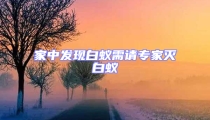 家中發現白蟻需請專家滅白蟻