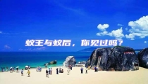 蟻王與蟻后,你見過嗎?