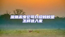 深圳殺蟲公司介紹螞蟻是怎樣進入家