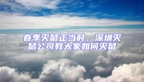 春季滅鼠正當時,深圳滅鼠公司教大家如何滅鼠