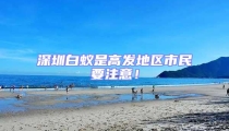 深圳白蟻是高發地區市民要注意!