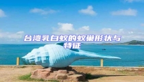 臺灣乳白蟻的蟻巢形狀與特征