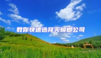 教你快速選擇滅蟑螂公司