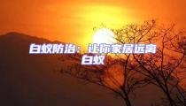 白蟻防治:讓你家居遠(yuǎn)離白蟻