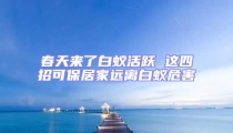 春天來了白蟻活躍 這四招可保居家遠離白蟻危害