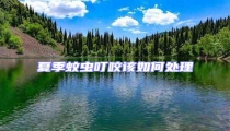 夏季蚊蟲(chóng)叮咬該如何處理