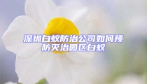 深圳白蟻防治公司如何預防滅治園區白蟻