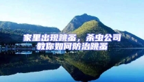 家里出現跳蚤,殺蟲公司教你如何防治跳蚤