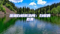 深圳白蟻防治所：白蟻的危害