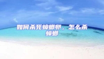 如何殺死蟑螂卵,怎么殺蟑螂