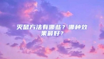 滅鼠方法有哪些？哪種效果最好？