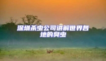 深圳殺蟲公司講解世界各地的臭蟲