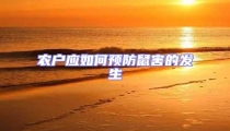 農戶應如何預防鼠害的發生
