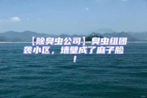 【除臭蟲公司】臭蟲組團(tuán)襲小區(qū)，墻壁成了麻子臉！