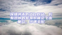 深圳消殺防治白蟻站,長有翅膀的繁殖蟻就會飛出巢穴,尋偶交配