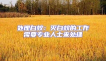 處理白蟻:滅白蟻的工作需要專業(yè)人士來處理